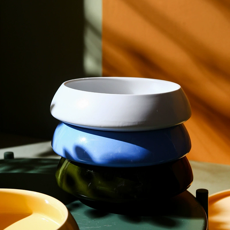 Tigela de macarrão de porcelana tableware view 3