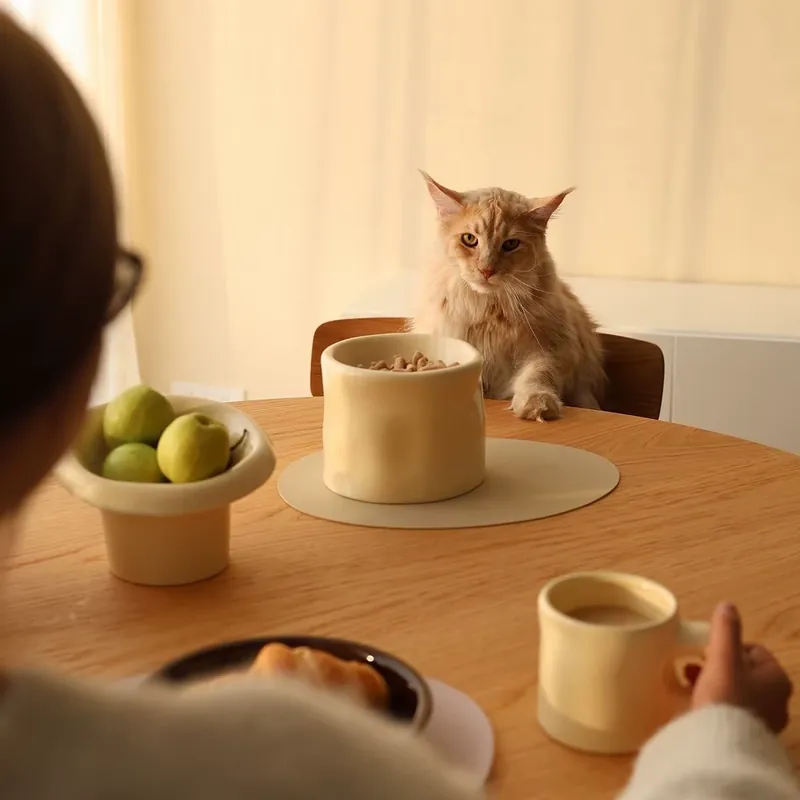 손잡이 도자기 반려동물 그릇 tableware view 2