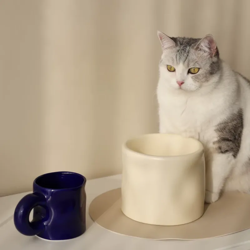 손잡이 도자기 반려동물 그릇 tableware view 3