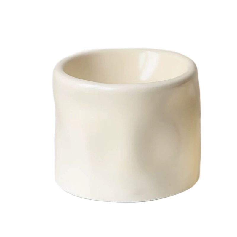 손잡이 도자기 반려동물 그릇 tableware view 5