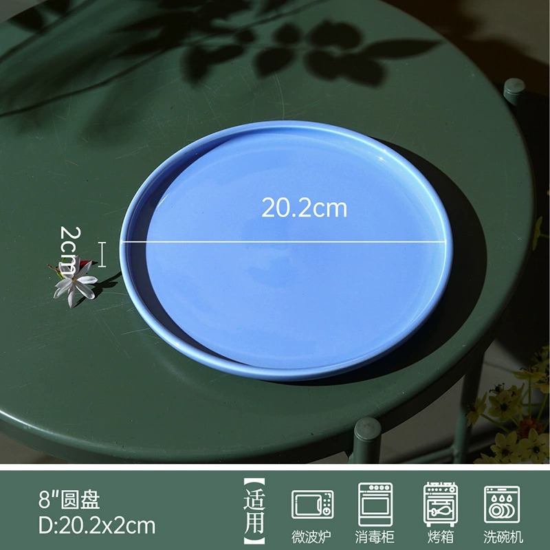 Porcelain Dinner Plate tableware view 10