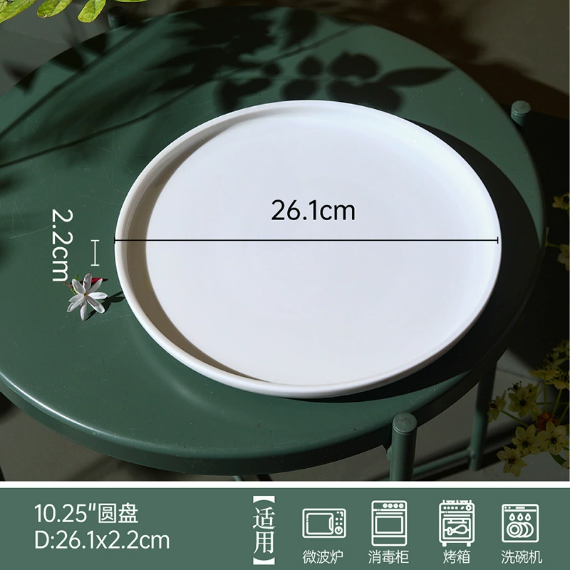 도자기 타원 접시 tableware view 10