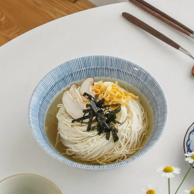 Porcelain Noodle Bowl with Blue Line tableware view 3