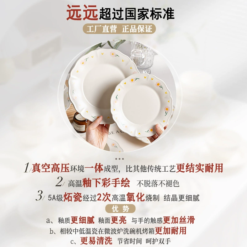 Porcelain Dinnerware Set tableware view 4