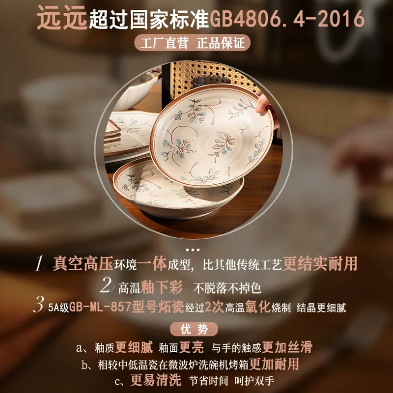 Porcelain Dinnerware Set tableware view 4