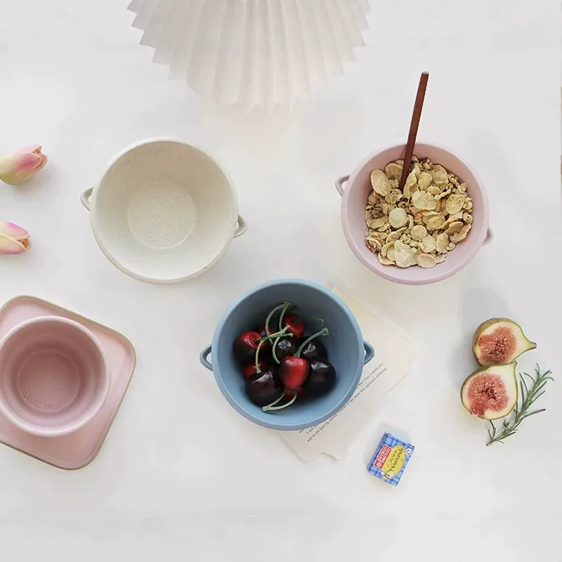 Colorful Double-Handled Ceramic Bowl tableware