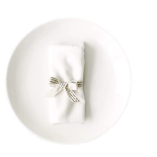 White Porcelain Steak Plate