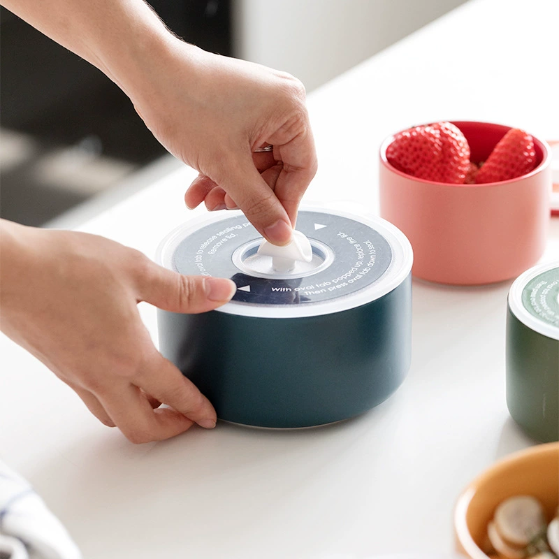 Ceramic Lunch Box tableware view 3
