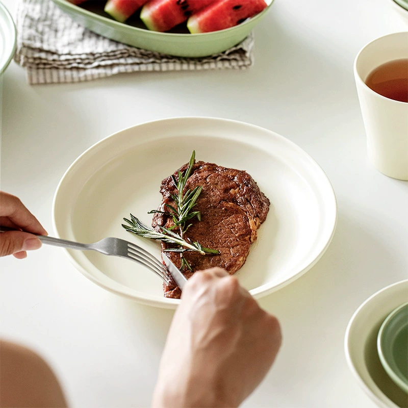 Ceramic Dinnerware Set tableware view 3