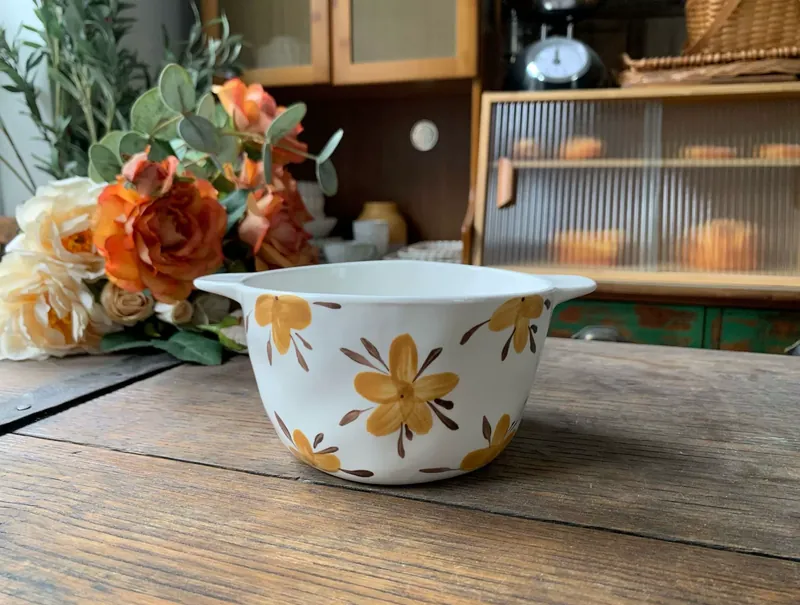 Hand-Painted Irregular Double Handle Bowl tableware view 3