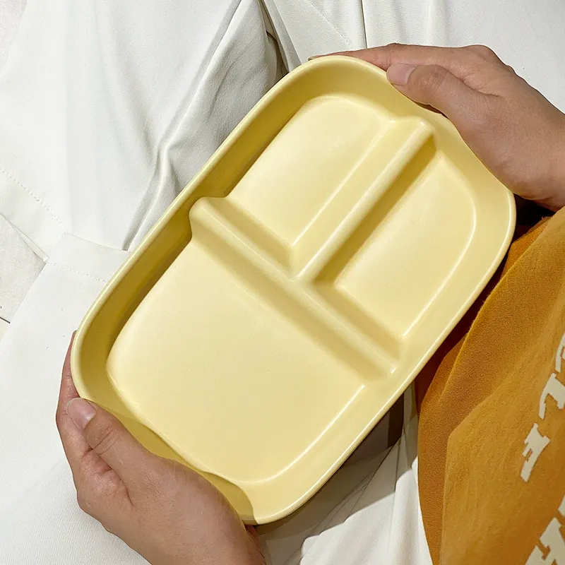 Ceramic Divided Plate tableware view 3