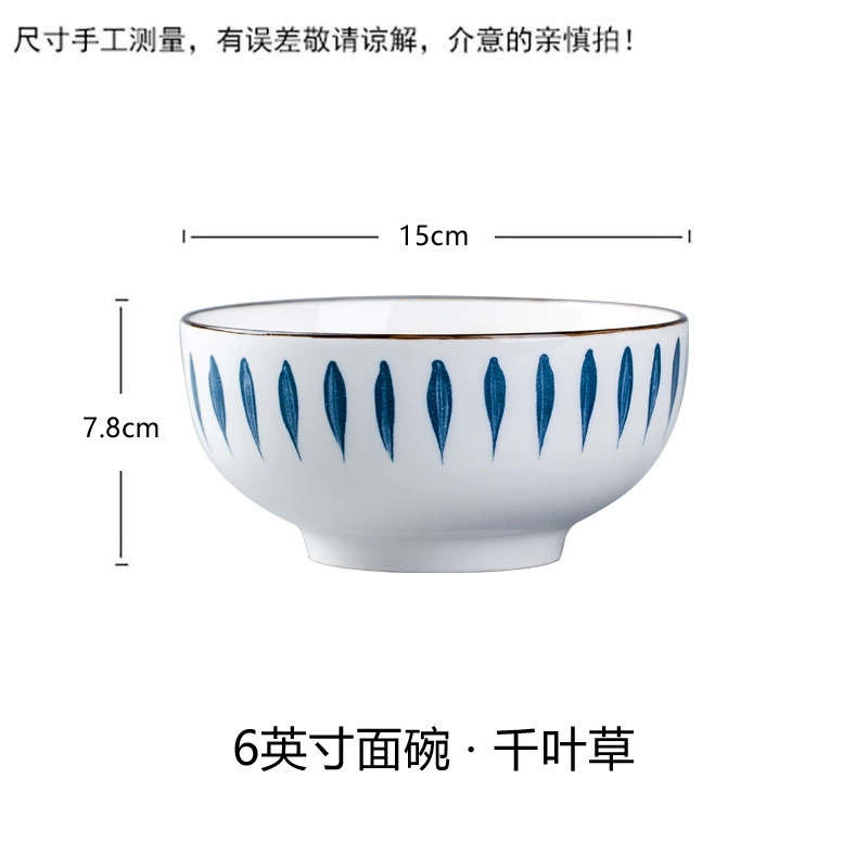 Conjunto de tigela e prato de cerâmica estilo japonês tableware view 7
