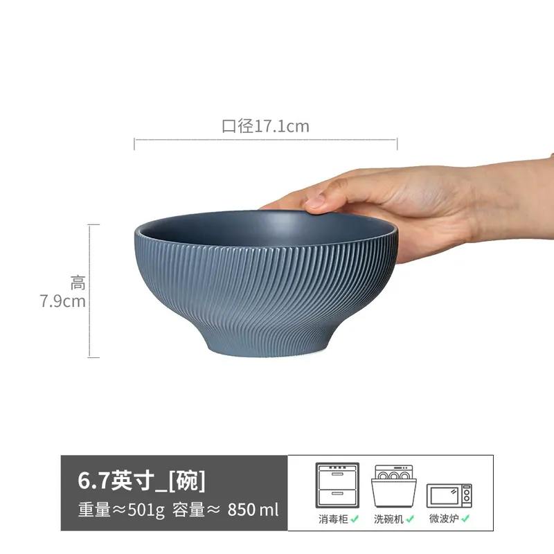 Japanese Ceramic Noodle Bowl tableware view 7