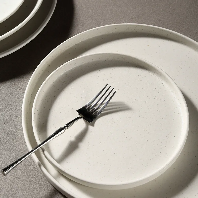 Ceramic Steak Plate tableware view 4