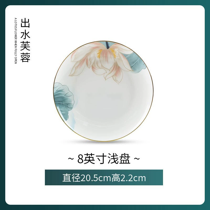 Plato de porcelana de hueso tableware view 6