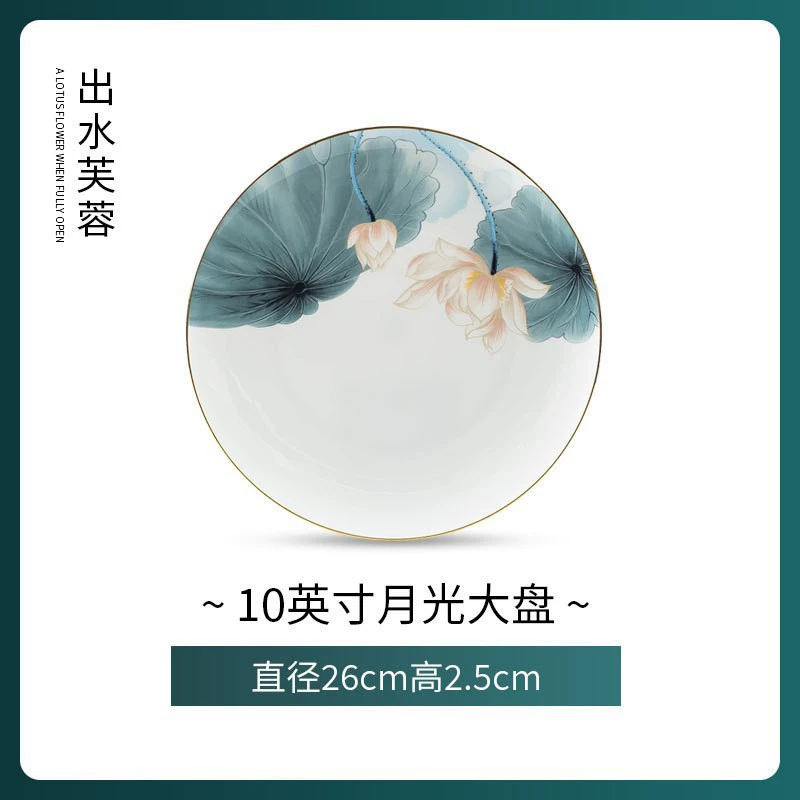 Plato de porcelana de hueso tableware view 8
