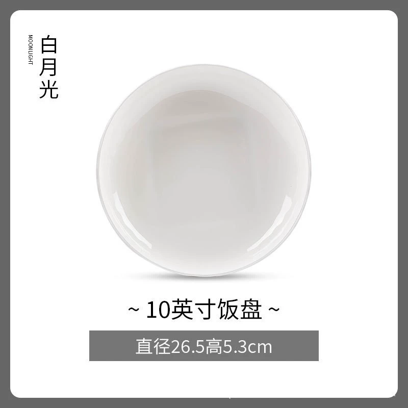 Porcelain Dinner Plate tableware view 9