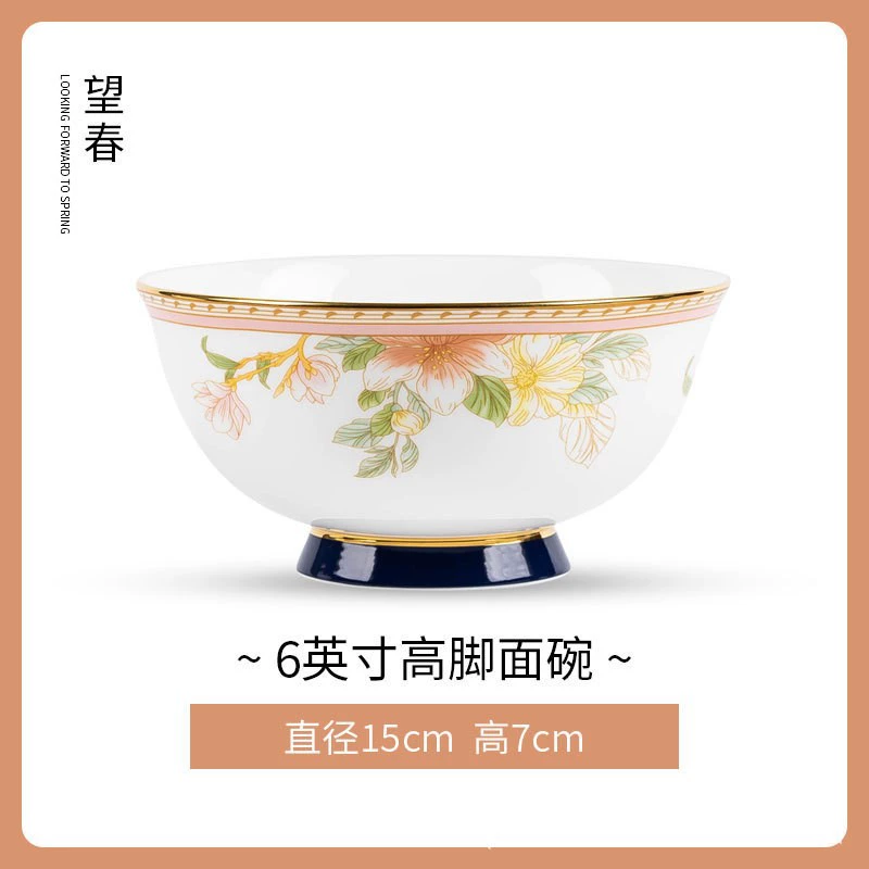 طبق عشاء بورسلين عظمي tableware view 12