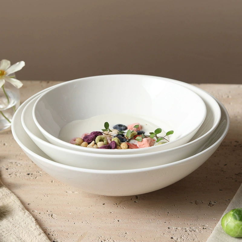 Фарфоровая миска для лапши tableware view 3