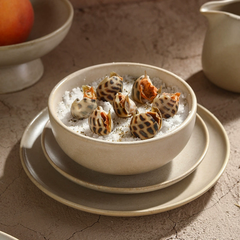 طقم فنجان وطبق ريفي tableware view 2